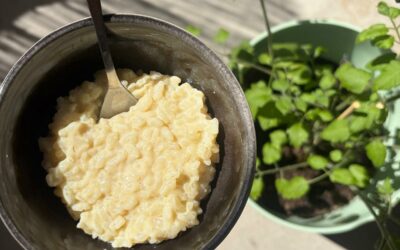 Que manger avant un semi-marathon pour optimiser ses performances et éviter les troubles digestifs ?